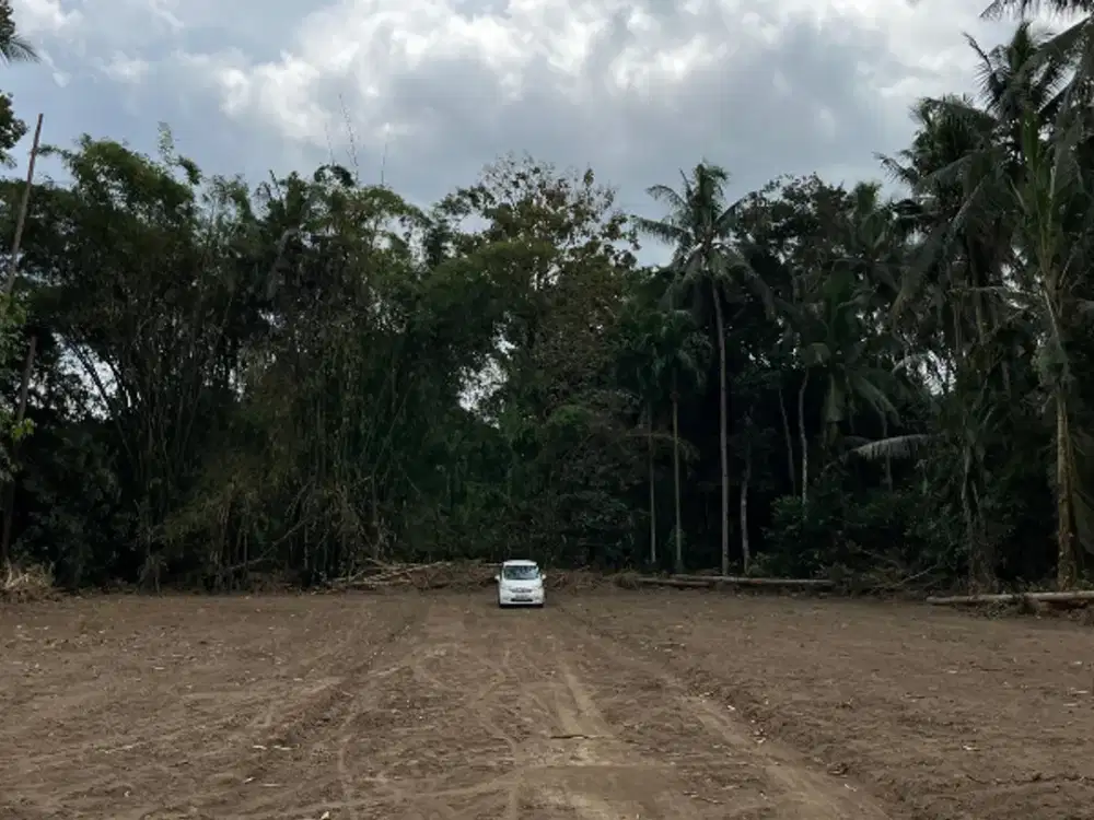 Tanah Tridadi Sleman, 7 Menit Taman Denggung