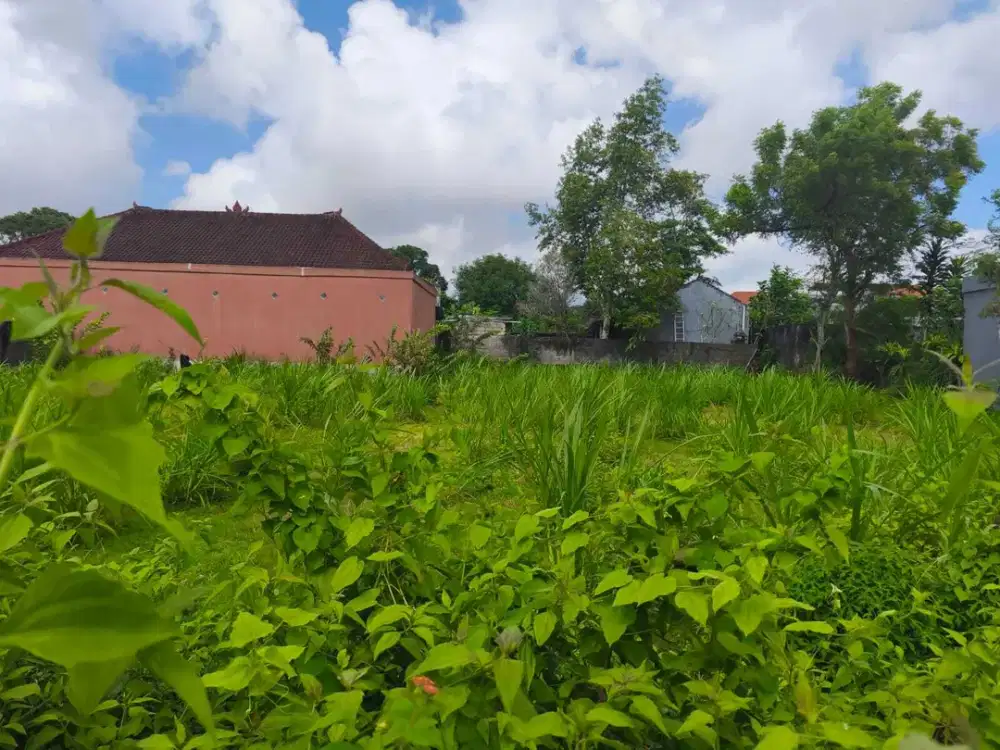 Tanah 250m² dekat politehnik jimbaran badung bali