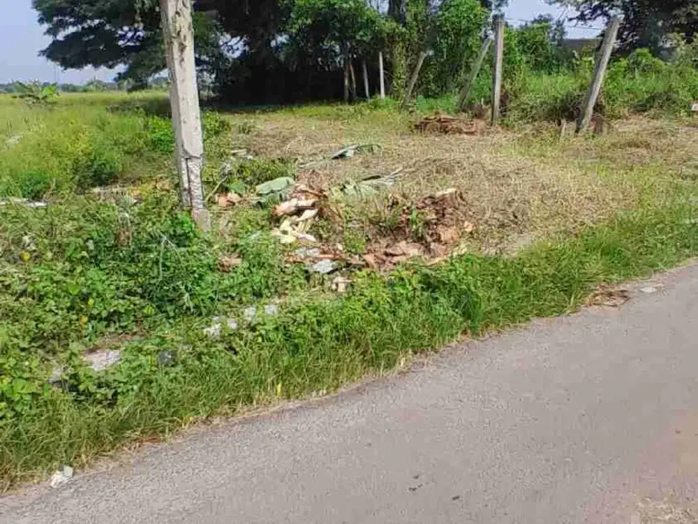 Tanah pinggir jalan aspal kampung murah cocok buat gudang Mini