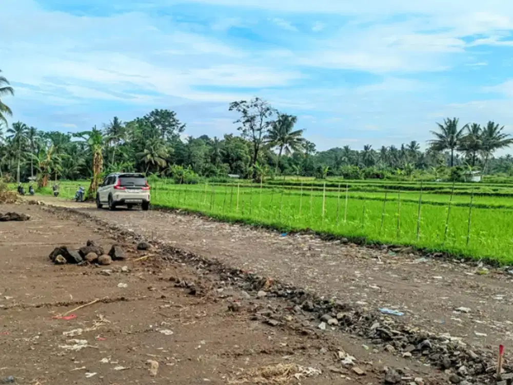 Tanah Dijual di Area jejamuran Resto Jogja, Cocok Bangun Homestay