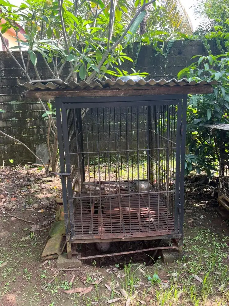 Dijual Kandang anjing
