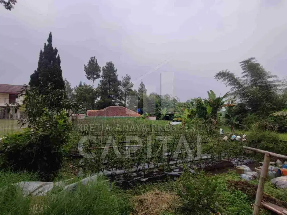 TANAH STRATEGIS di MAINROAD MARIBAYA – LEMBANG