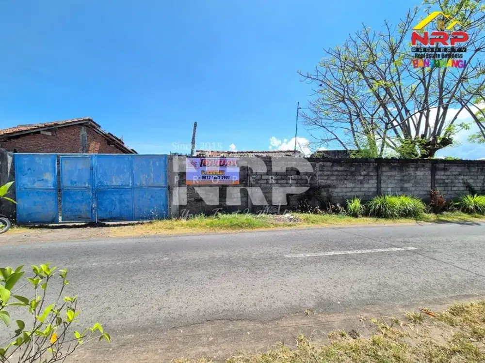 Dijual Tanah Ex Tambak Tengah Kota Karangrejo - Banyuwangi