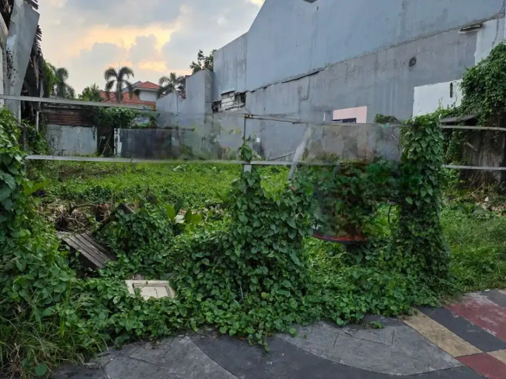 Jual Kavling Anggrek Loka BSD Serpong Tangerang