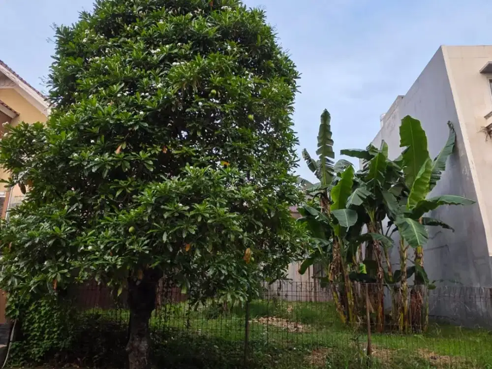 Jual Kavling Puspita Loka  Bsd Serpong Tangerang