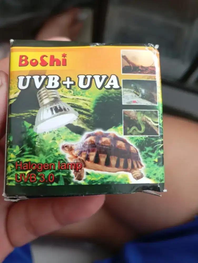 Lampu lalu UVa UVB 25 watt