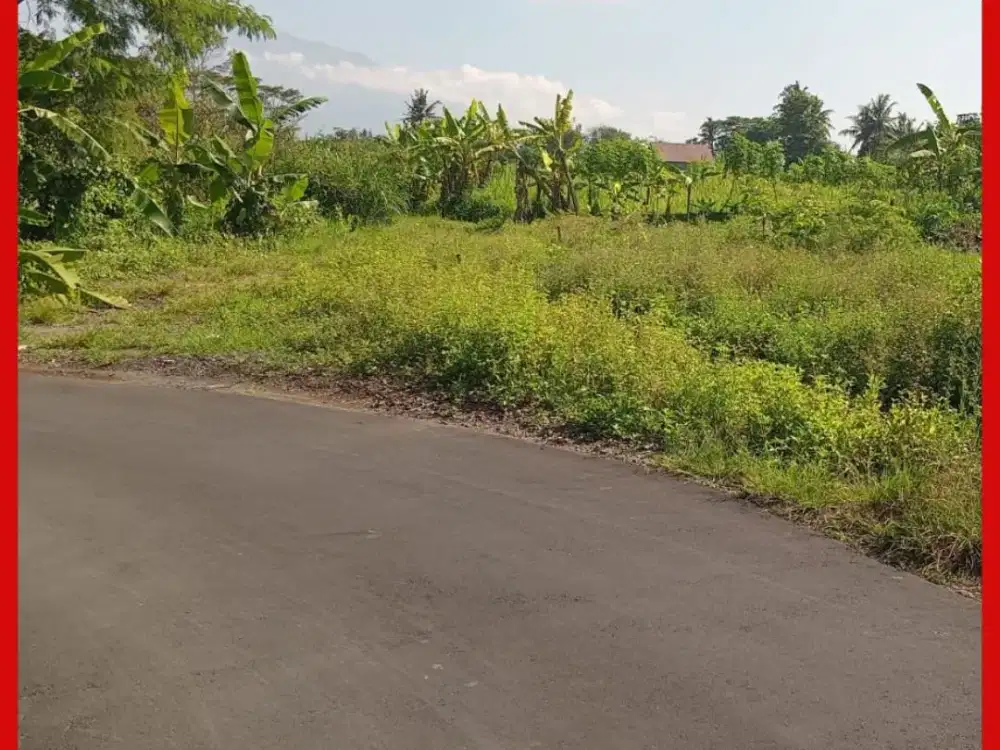 Tanah Jogja Mangku Jl Aspal Area Kaliurang Sardonoharjo