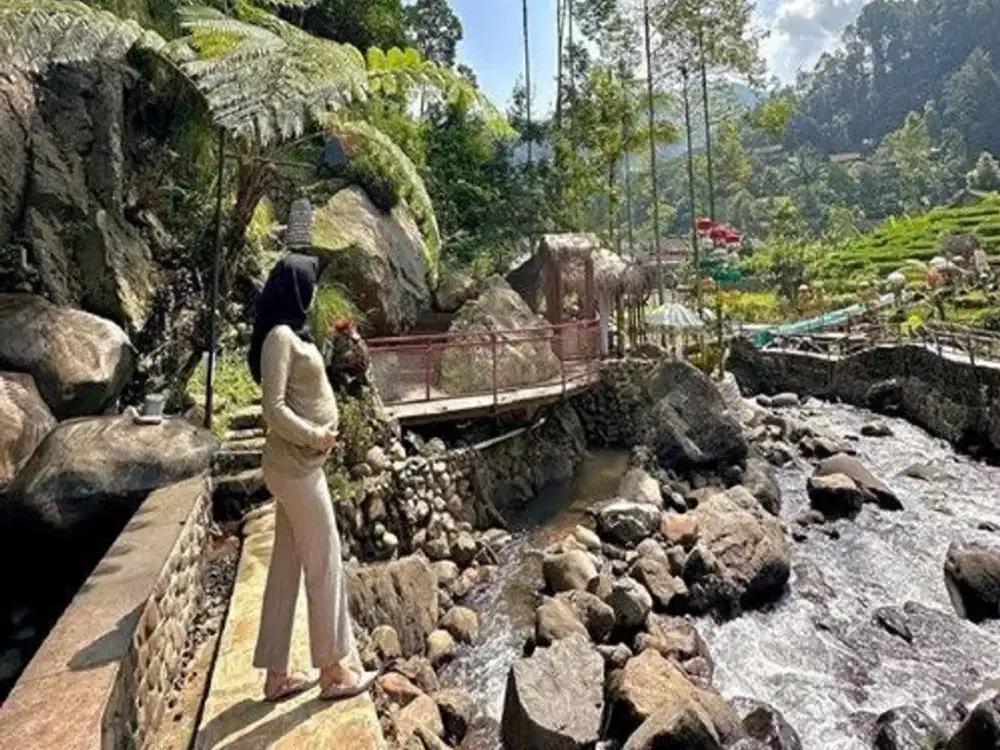 Dijual Tanah Komersial untuk Villa di Citengah Sumedang (Cocok Untuk Villa)