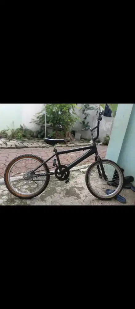 BMX Size 20 Torpedo