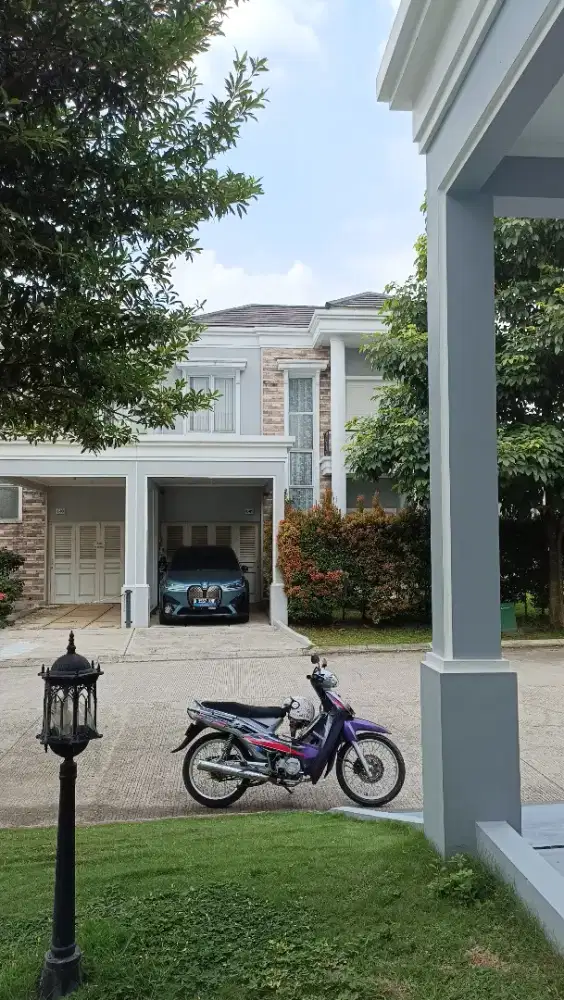 Supra double xx 2003