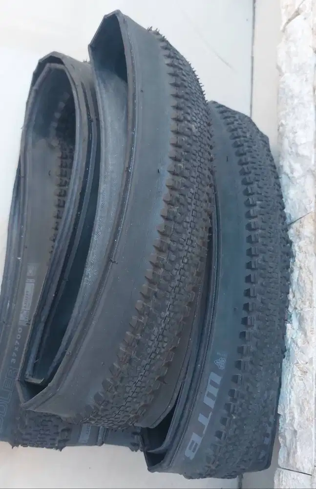 Ban WTB Riddler gravel mtb sepeda