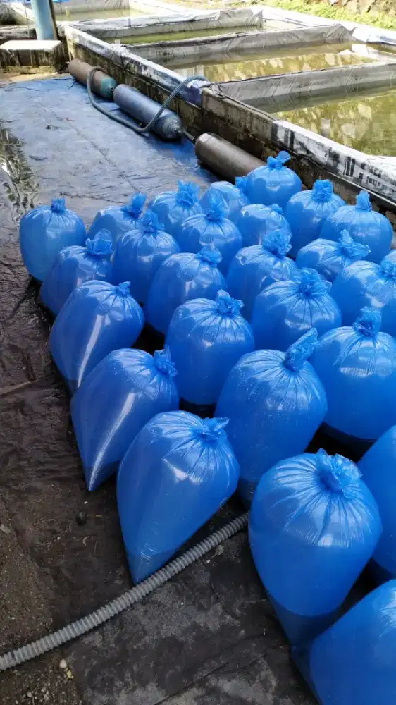 Menerima pesanan bibit ikan