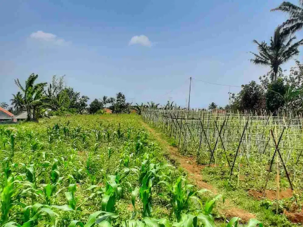 Dijual sebidang tanah matang pinggir jalan bisa perluasan dekat kota