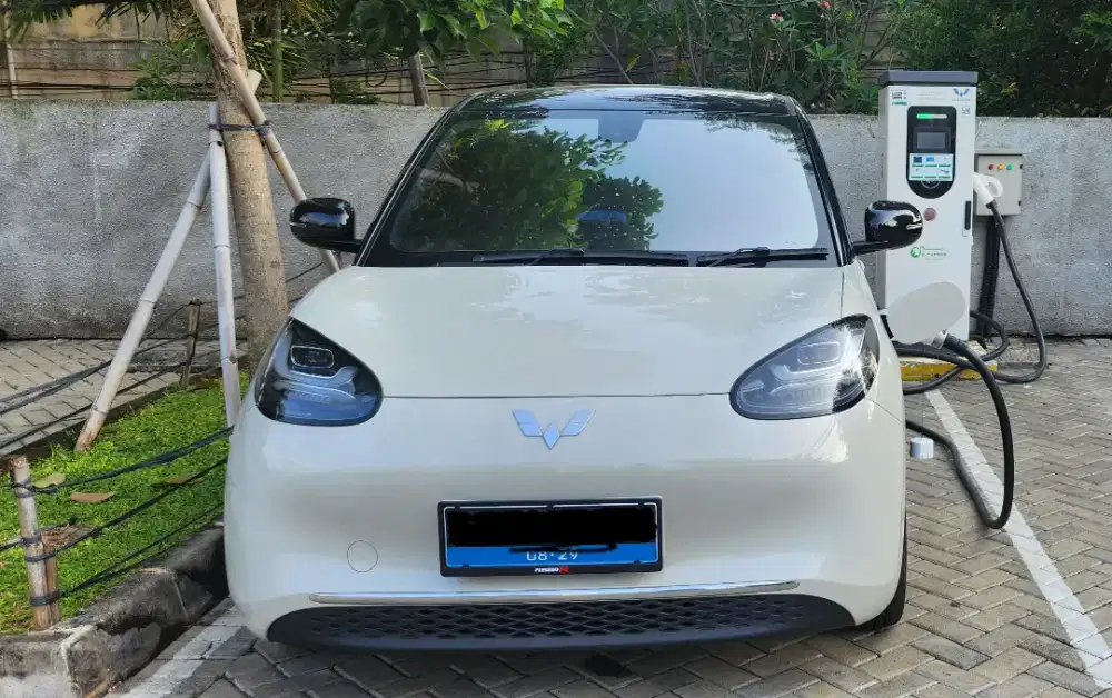 Wuling Binguo 2024 Premium Range 410Km