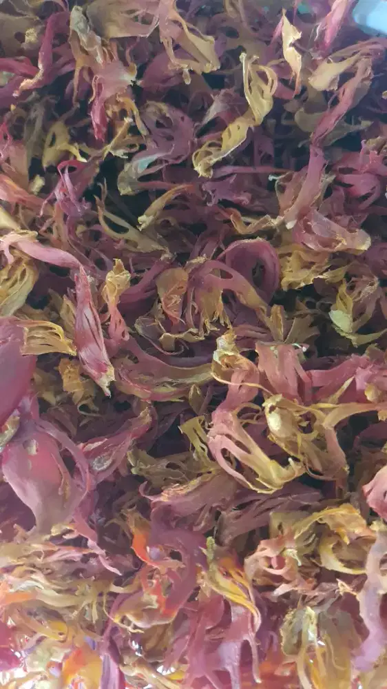 Bunga Pala Kering Kualitas Bagus