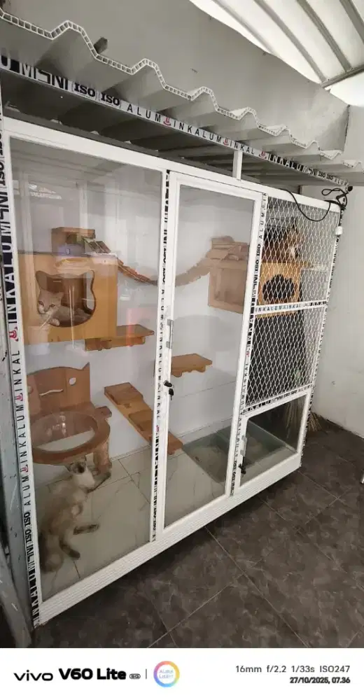 Kandang kucing premium