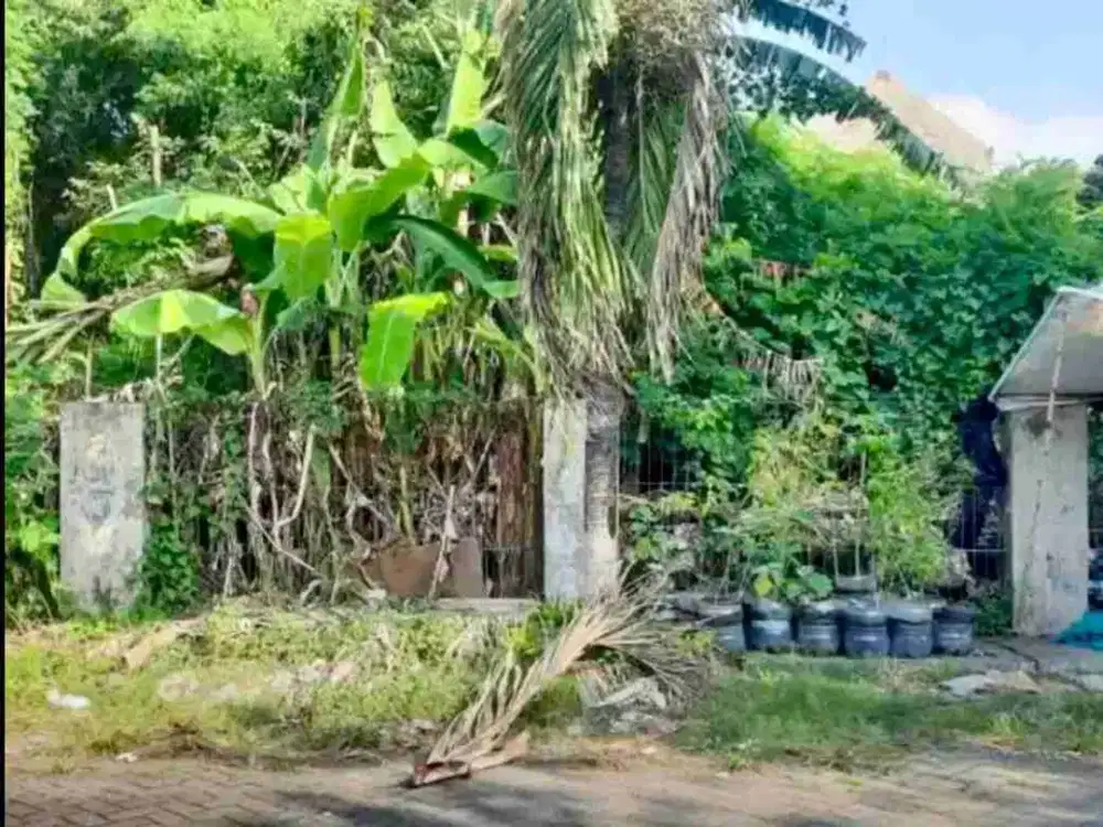 Dijual tanah Medokan Asri Utara, dekat kampus UPN, UINSA, MERR, TOL, Galaxy mall