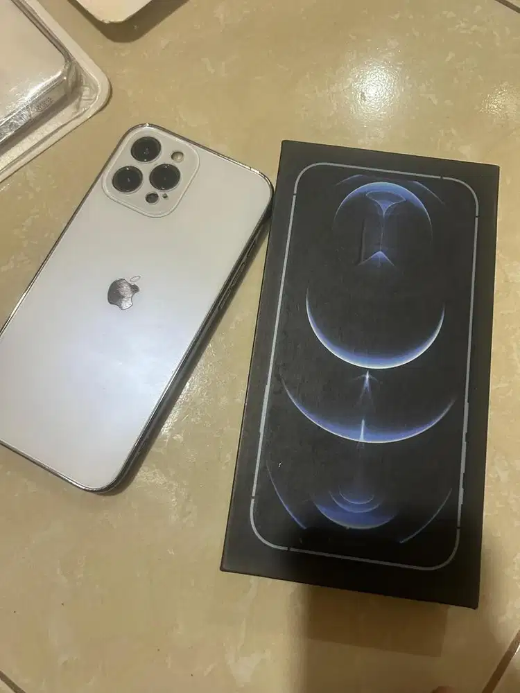 iphone 12 promax 256