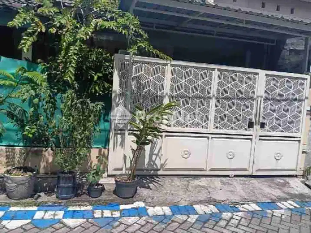 rumah Bluru Sidoarjo