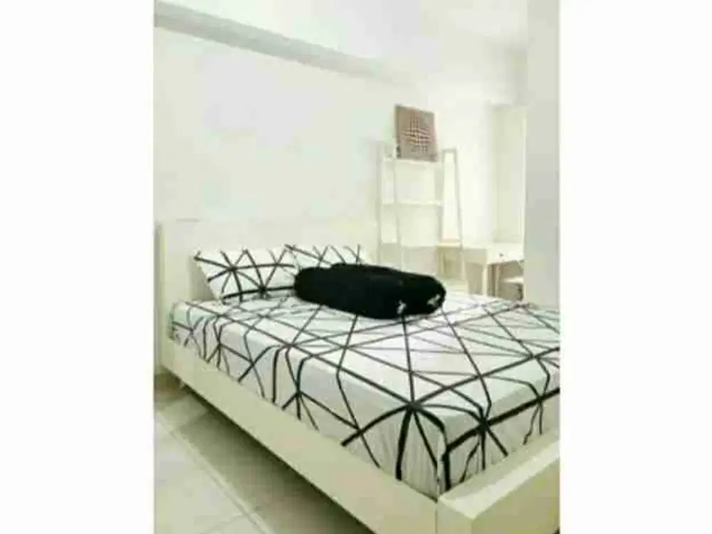 disewakan apartemen springlake  full furnish 2BR bekasi