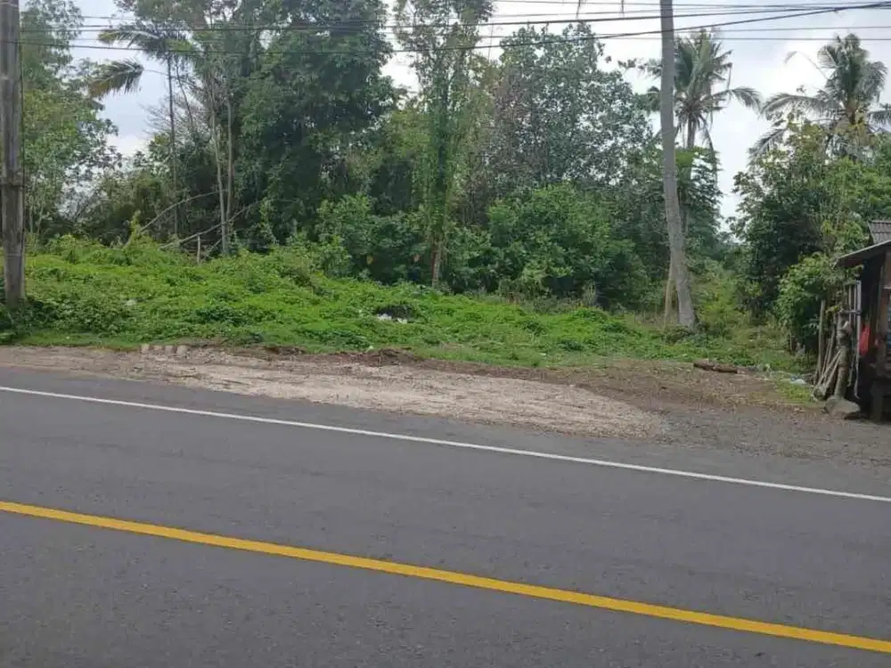 jual tanah Antosari jalan raya Denpasar Gilimanuk
