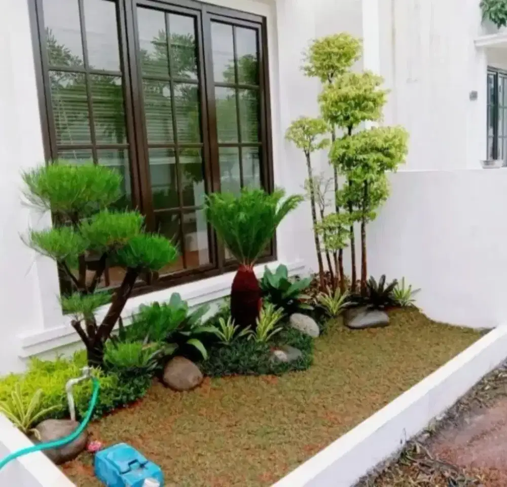 Tukang taman minimalis 006