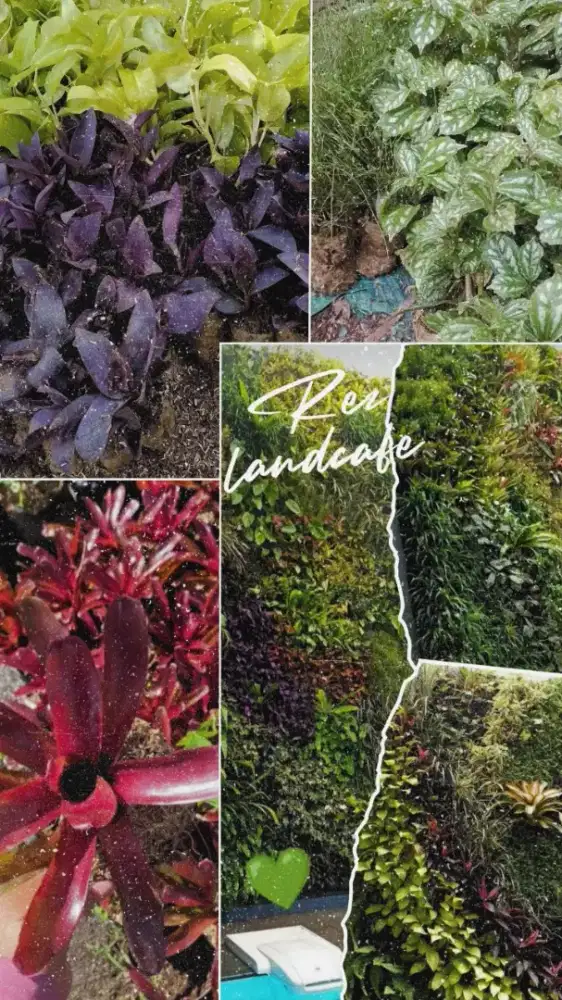 Menerima Pembuatan Taman Vertical Garden