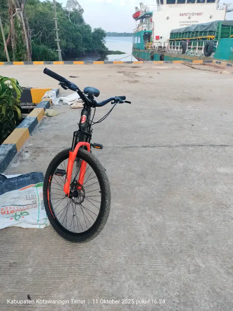 Sepeda gunung new Phoenix  uk.26