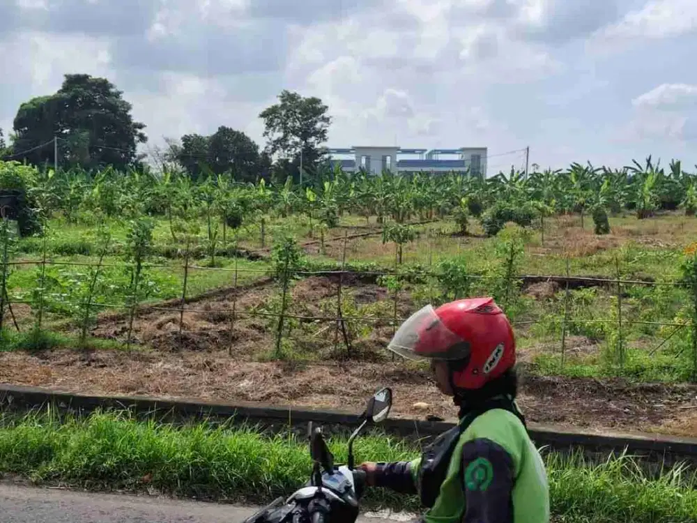 tanah kontrak jalan utama pantai nyanyi tabanan