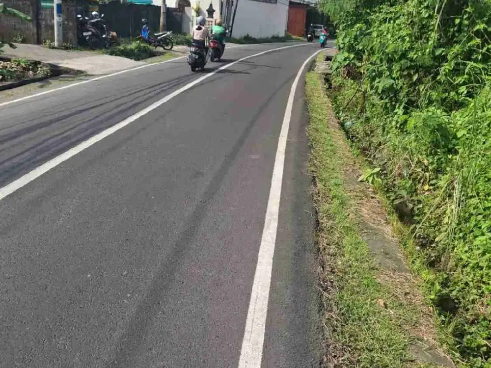 tanah di jual SHM  jalan pantai Pererenan  Badung Bali