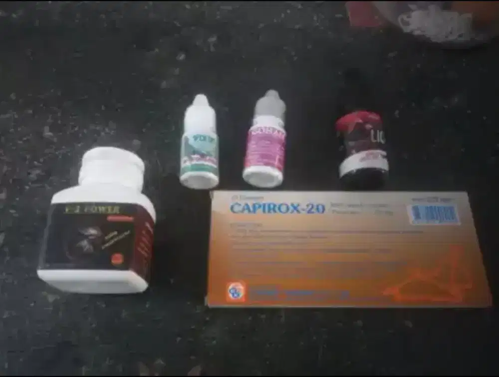 Jual obat  ayam byak macam dn bgus