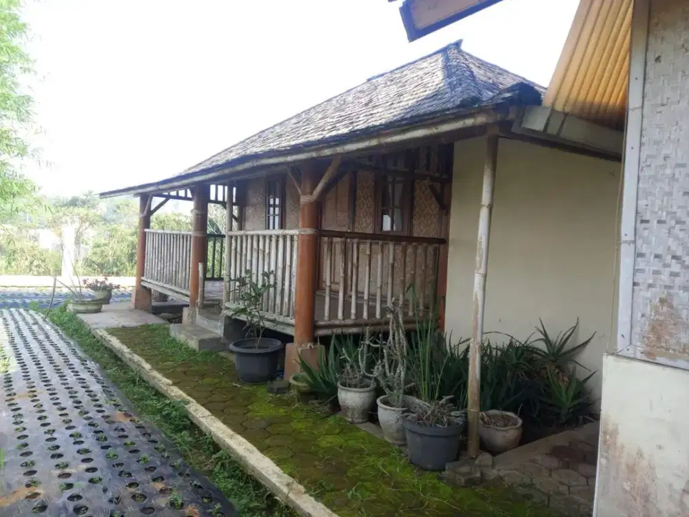Dijual Tanah di Cisarua Bandung, Cocok untuk Villa atau Budidaya Jamur