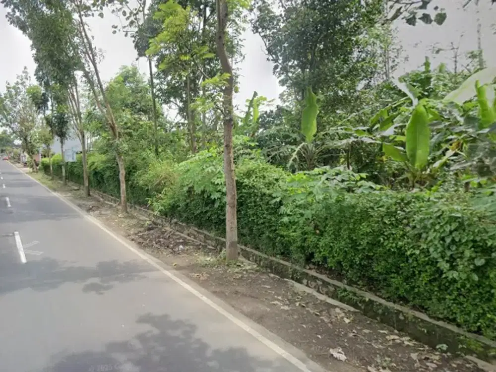 Tanah dijual karangduren kendalpayak curungrejo Lt3500 poros aspal leb15