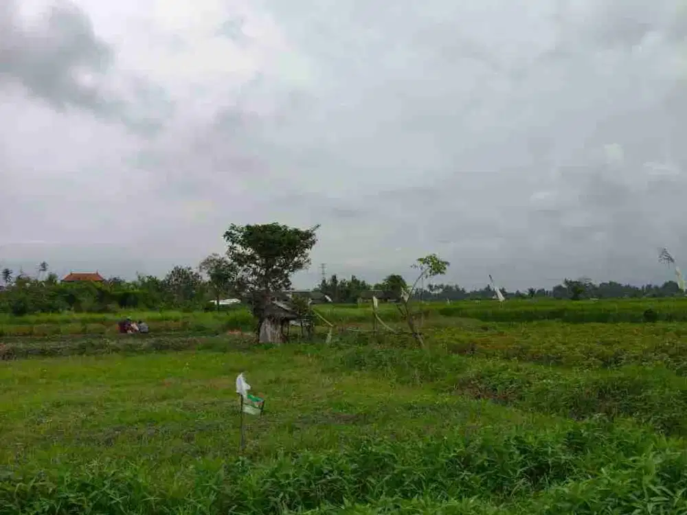 dijual tanah kavling premium dekat puspem Badung dan Denpasar bali