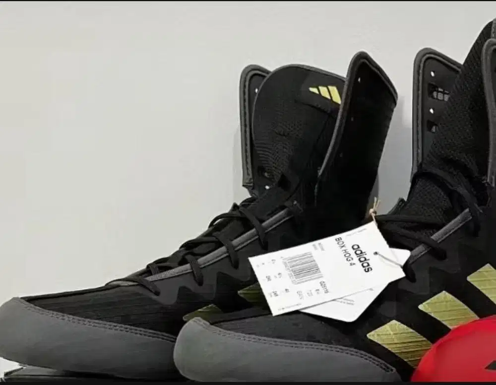 Sepatu Tinju Adidas Box Hog 4