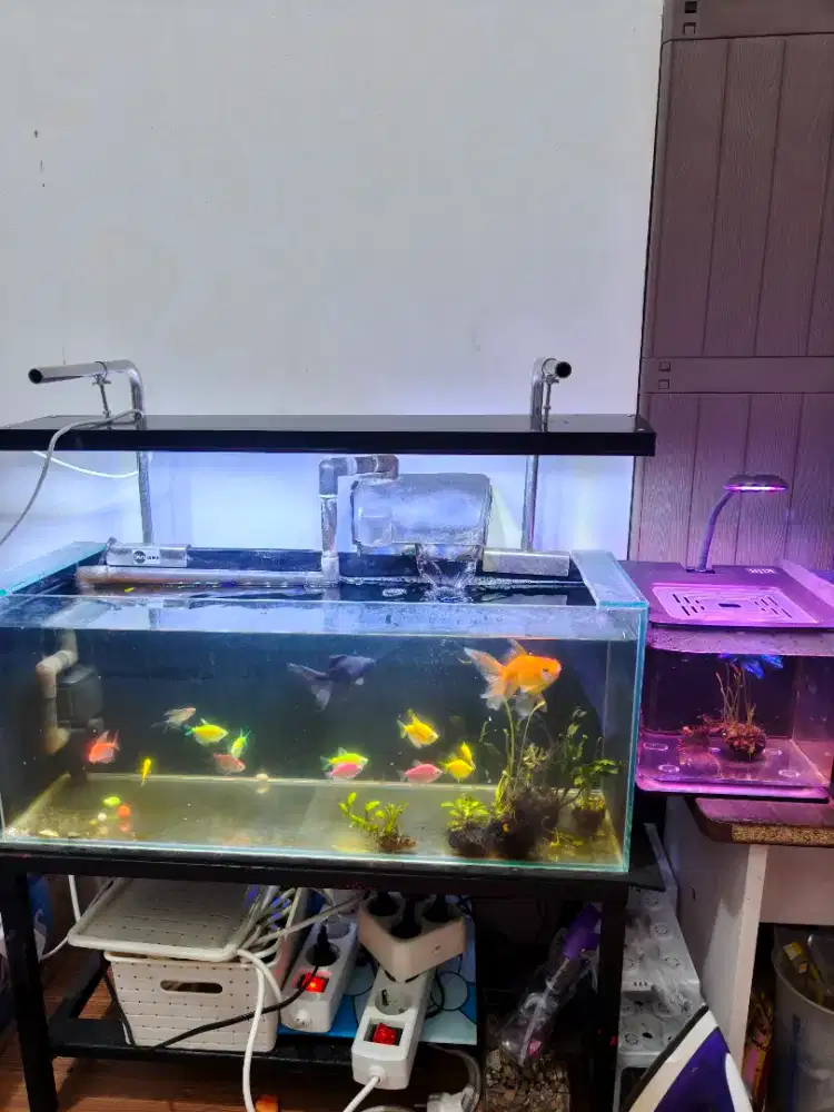 jual 2 set aquarium