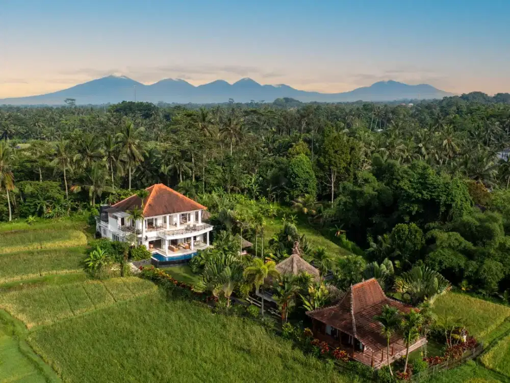 Luxury Freehold Villa for Sale - Tranquil Tropical Living Near Ubud