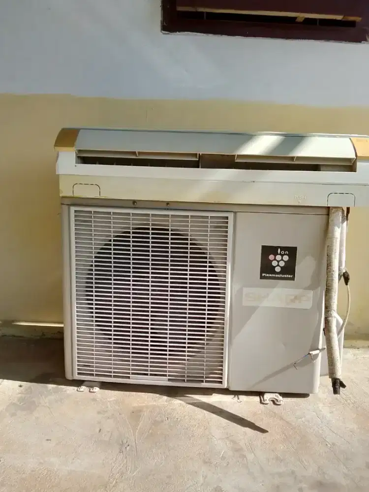 AC Sharp 1/2 PK second