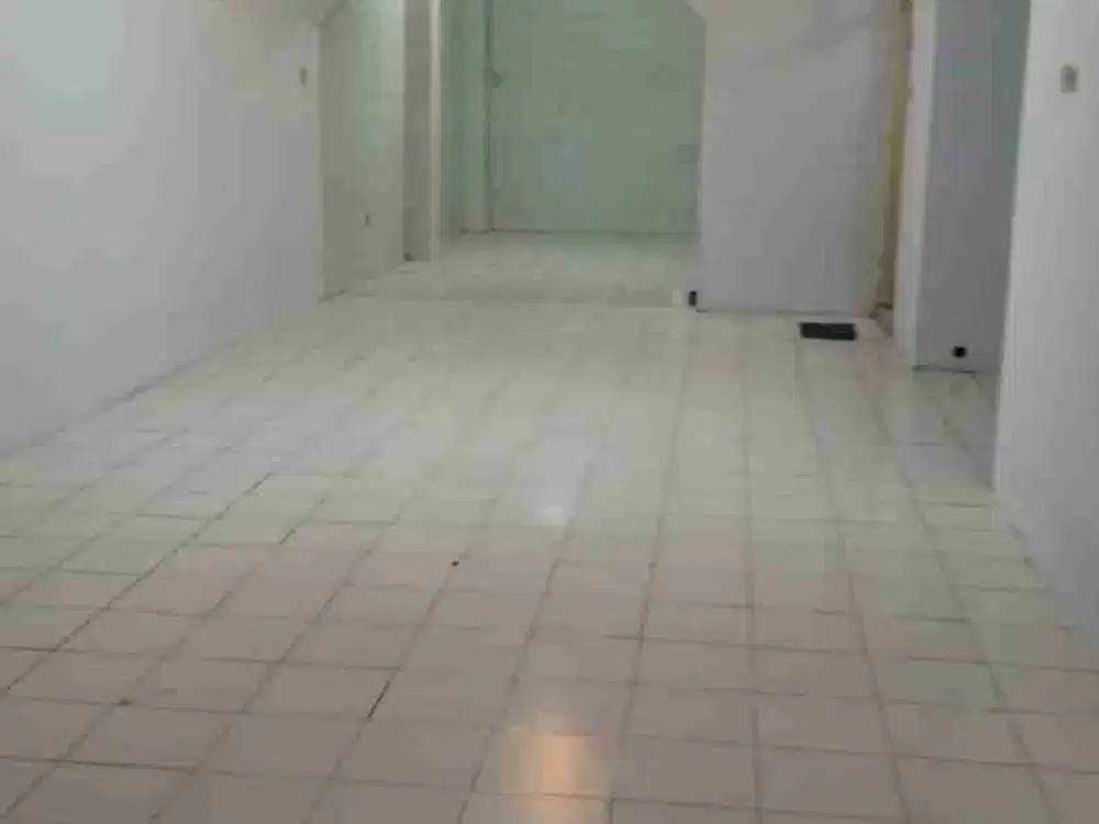 dijual dan disewakan rmh luas