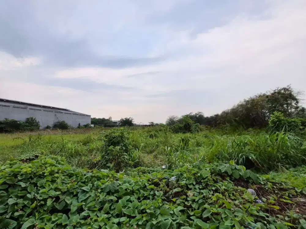 Tanah Kawasan Industri