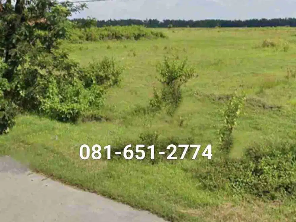 Tanah Industri Nganjuk Gondang