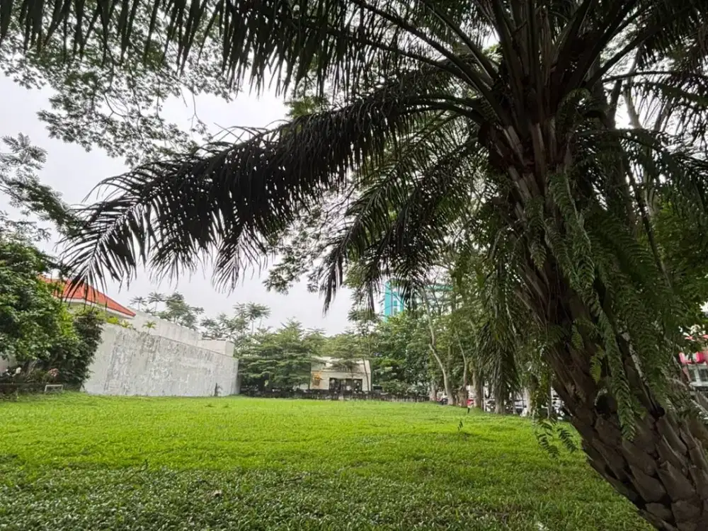 Disewakan Kavling Komersil Hook Alam Sutera