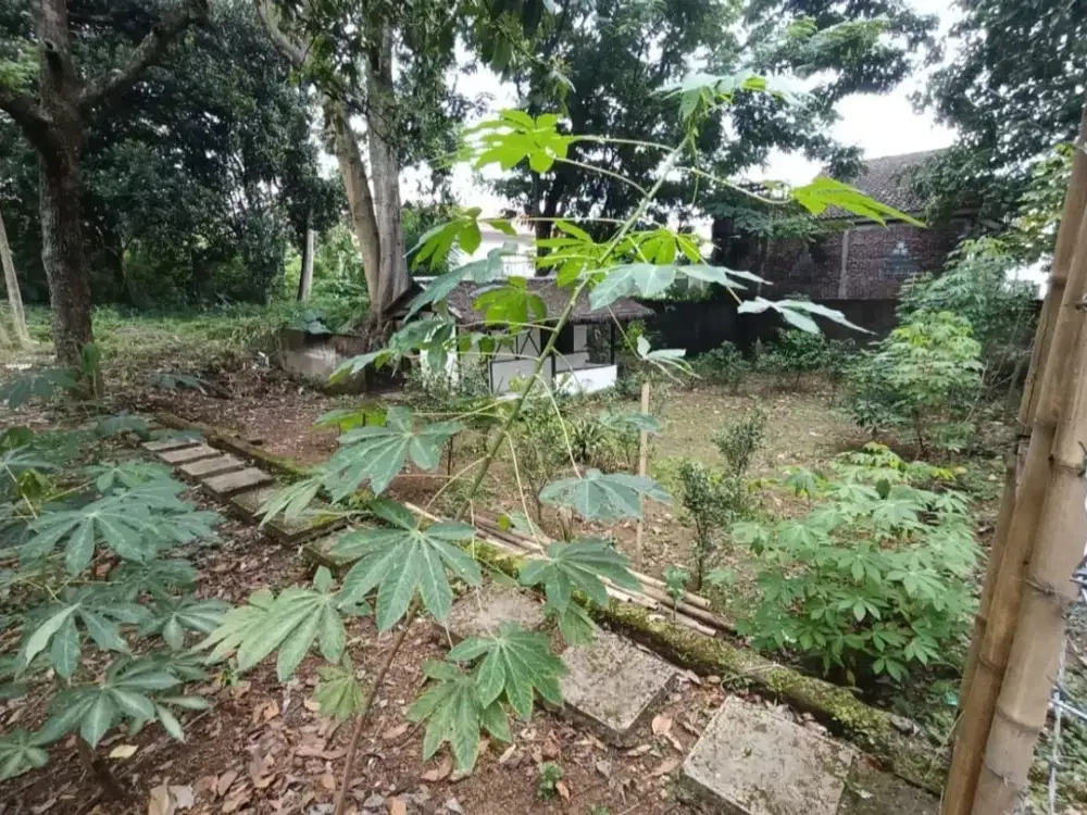 tanah kavling ciumbuleuit bandung kota