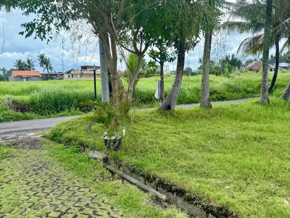 TANAH SIAP BANGUN DI AREA LODTUNDUH UBUD LINGK VILLA