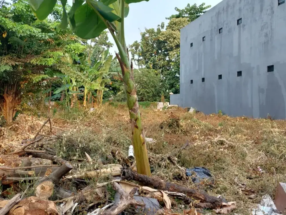 Tanah Murah Di Bawah Njop Di Kelapa Gading
