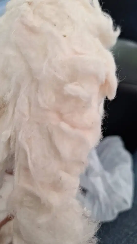 Comber Noil untuk Kapas Kecantikan