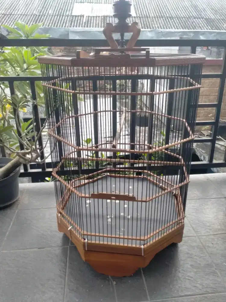 SANGKAR JATI UKIR MB