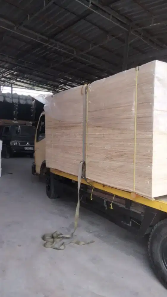 Plywood / Multiplek / Triplek