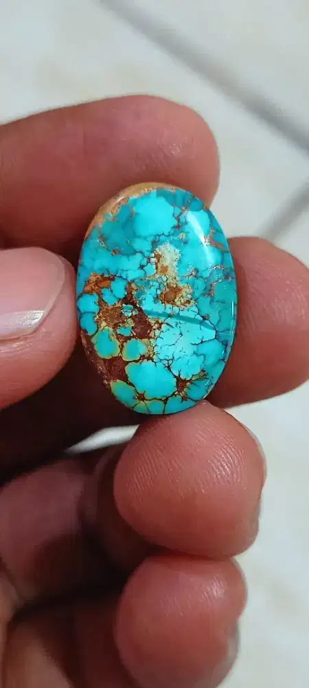 Pirus Persia biru lawasan indah