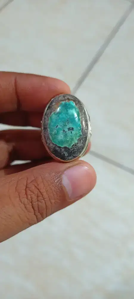 Pirus Persia lawasan mewah